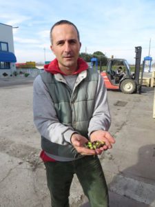 Luigi Di Vito - farmář s olivovým olejem